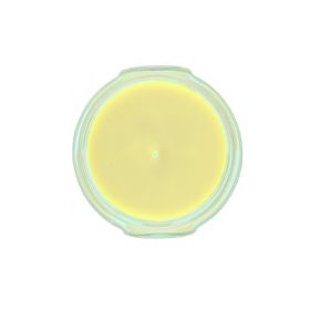 Tyler Candles 3oz Pineapple Crush Tyler Candle Co