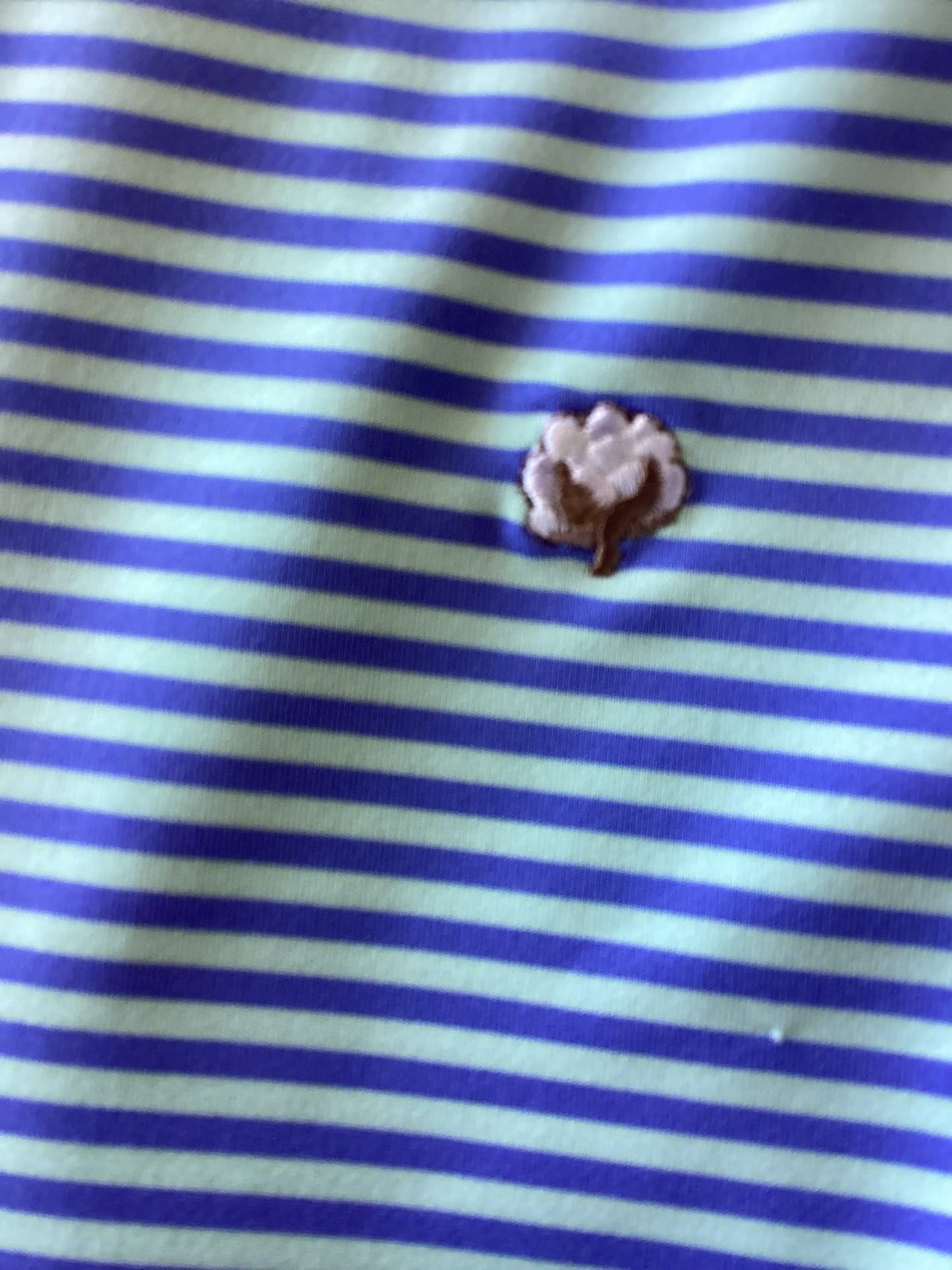 Cotton Brothers Polo Vista, Mint