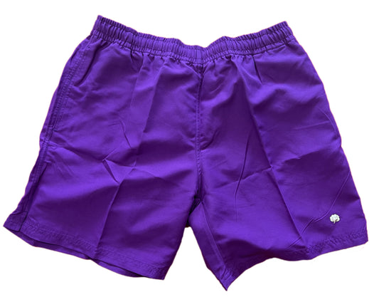 Cotton Brothers Swim Shorts Solid Purple